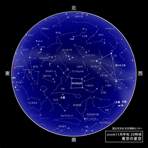 11 月 20 日 星座